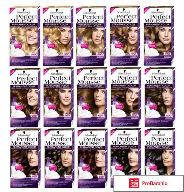 Краска мусс для волос отзывы 