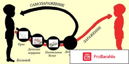 Bactefort развод или правда отзывы отрицательные отзывы