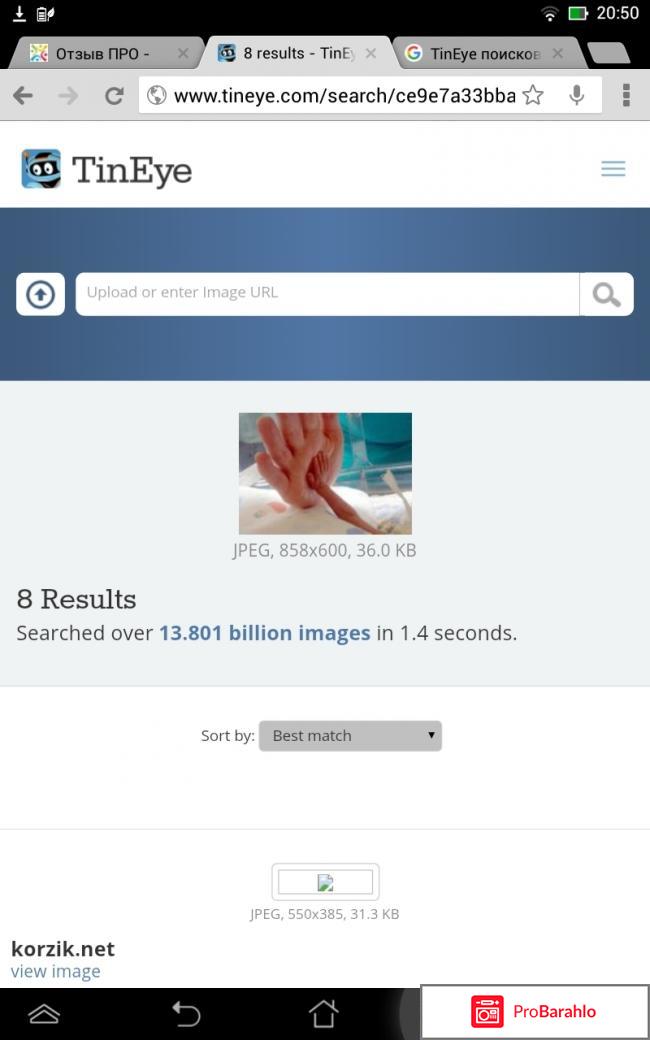 Поисковая система TinEye Reverse Image Search отрицательные отзывы