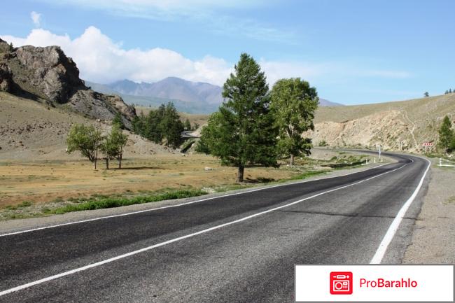 Отдых на алтае реальные отзывы