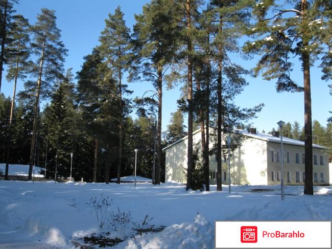 Отзывы санаторий сосновый бор фото