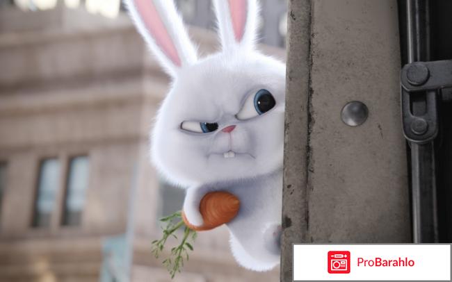 Тайная жизнь домашних животных отрицательные отзывы