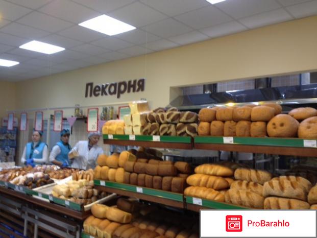 Копилка командор отрицательные отзывы