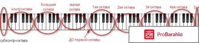 Сколько клавиш у пианино обман