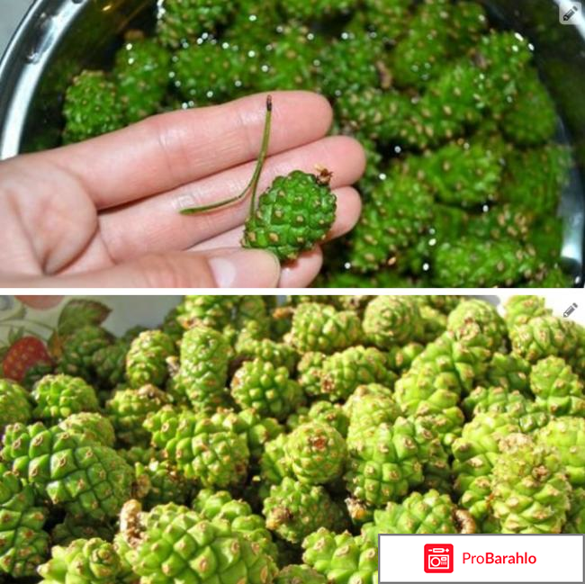 Флоксал отзывы отрицательные отзывы