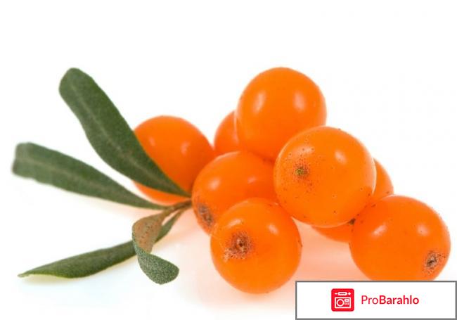 Свечи от геморроя с облепиховым маслом отрицательные отзывы