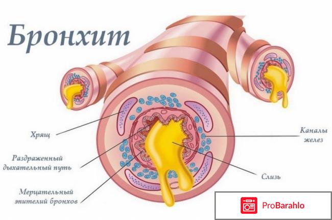 Клафоран отрицательные отзывы