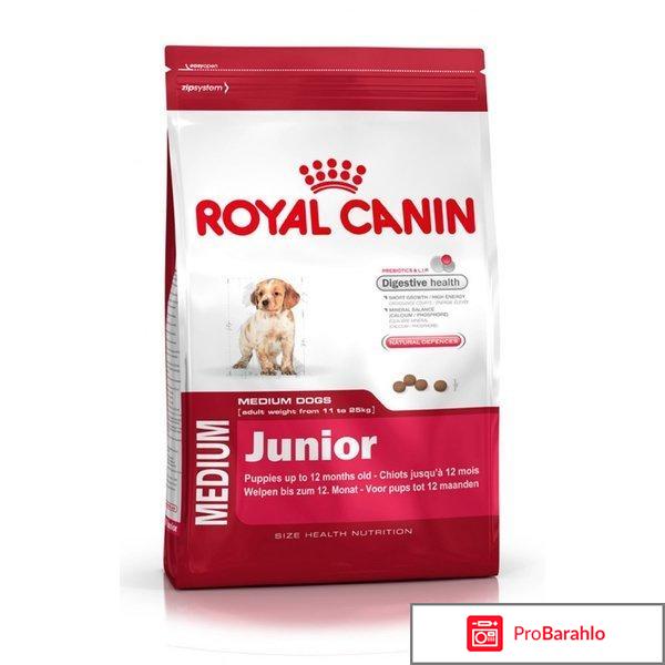 Royal canin junior отрицательные отзывы