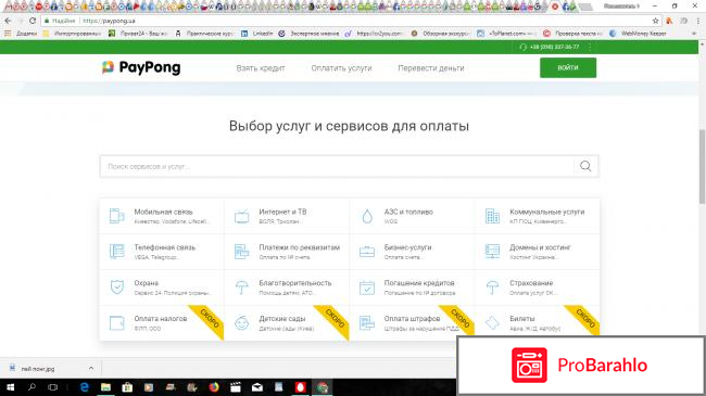 PayPong – онлайн платформа мгновенных финансовых услуг обман