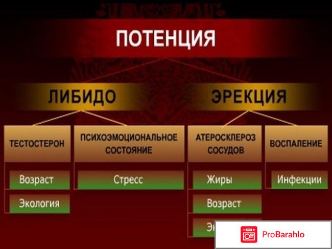 Муравей таблетки для потенции 