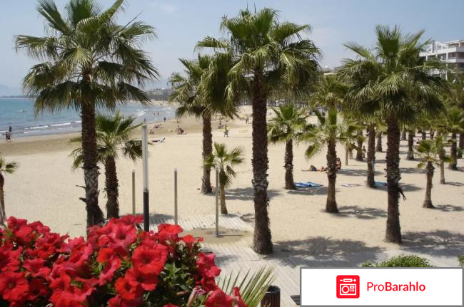 Салоу отзывы туристов 2017 обман