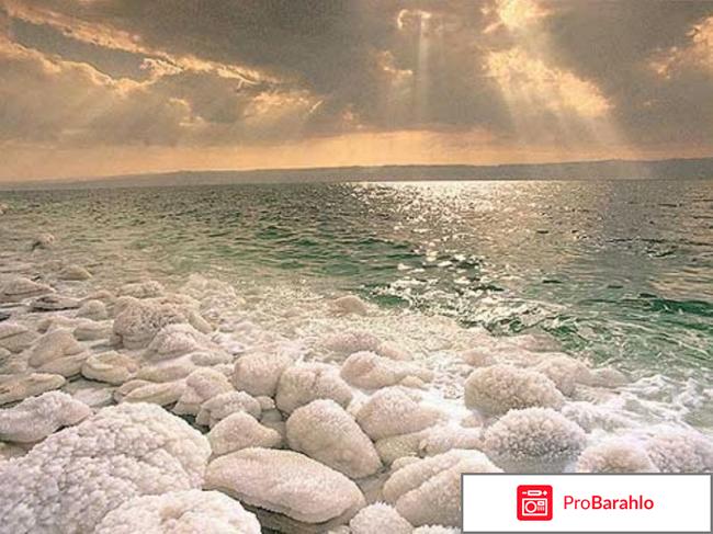 Отдых в израиле 2011 обман