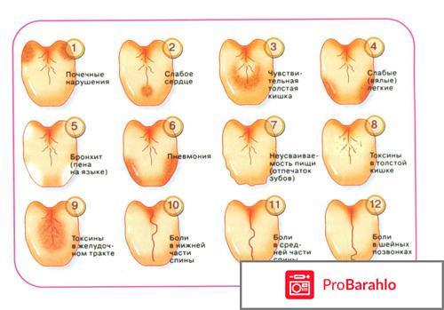 Серый налет на языке, причины отрицательные отзывы
