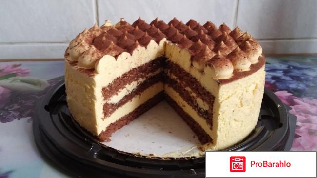 Тирамису отзывы владельцев