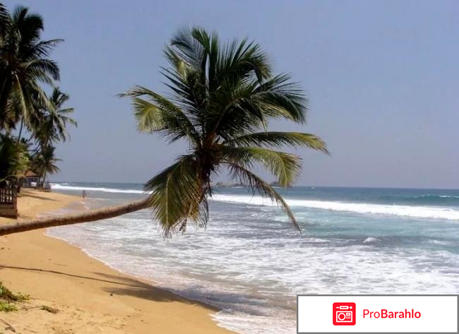 Шри ланка в ноябре отзывы туристов фото