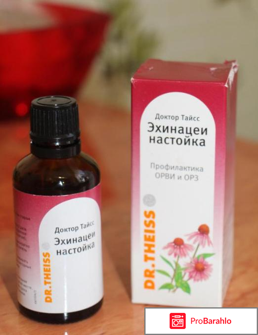 Настойка эхинацеи для иммунитета отзывы отзывы владельцев