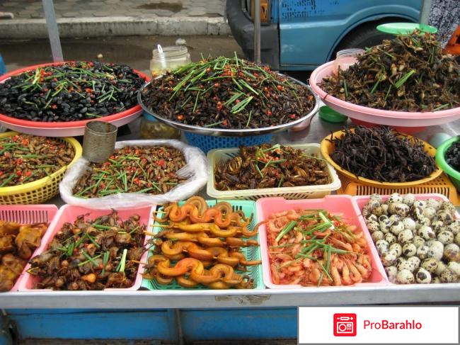 Отдых в камбодже отзывы владельцев