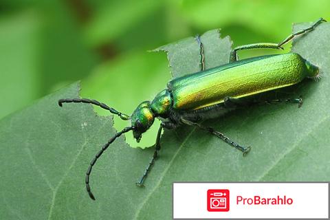 Женский возбудитель самый эффективный в каплях купить обман