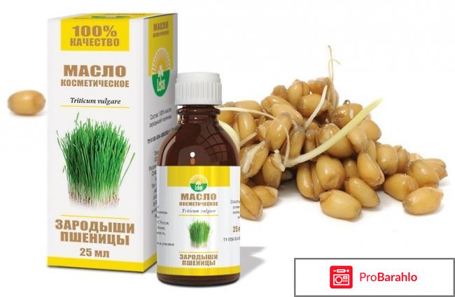 Масло пшеницы для волос отзывы отрицательные отзывы