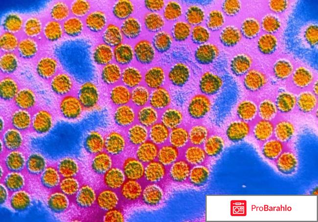 Вирус папилломы человека у женщин в гинекологии 