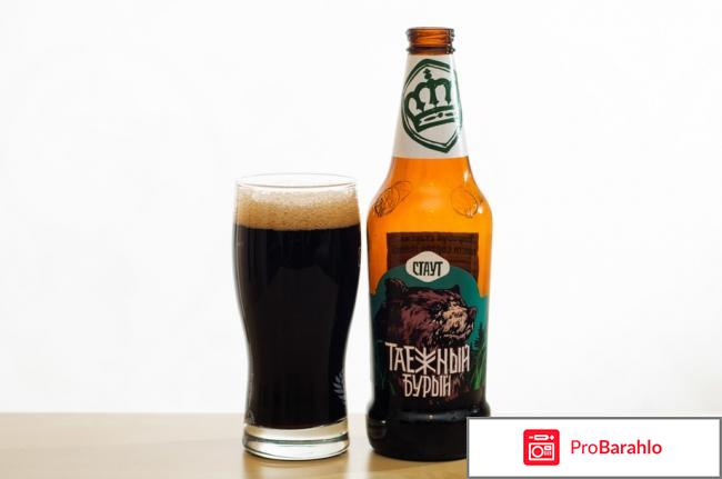 Сибирская корона - Ржаной эль, Стаут и IPA. отрицательные отзывы