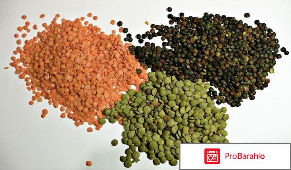 Чечевица для похудения отзывы 