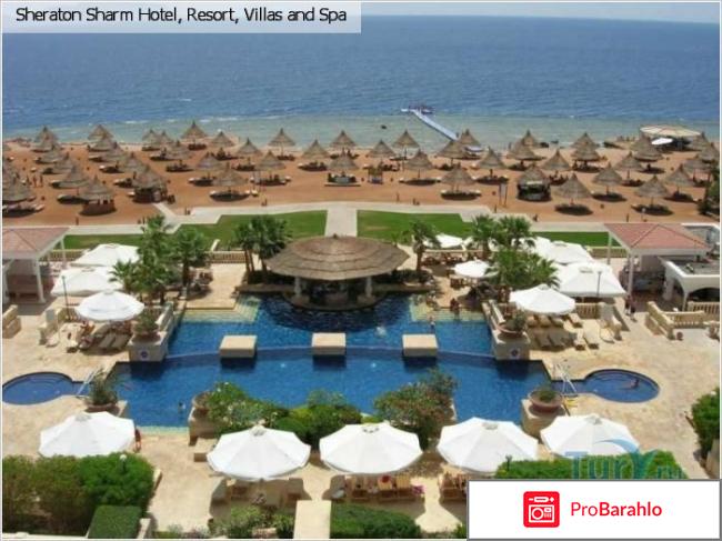 Шератон шарм резорт 5 отрицательные отзывы