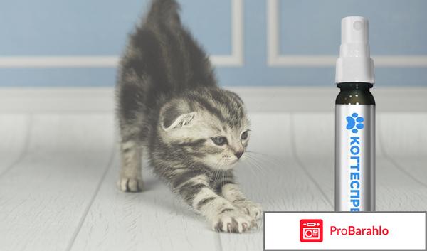 Когтеспрей - уникальный спрей для кошек отрицательные отзывы