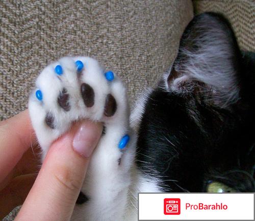 Насадки на когти для кошек