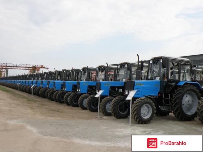 Трактор беларус цена 