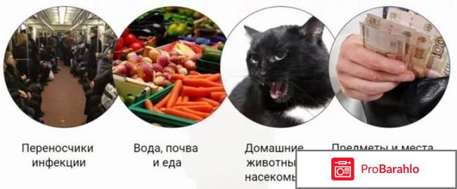 Intoxic отзывы развод отрицательные отзывы