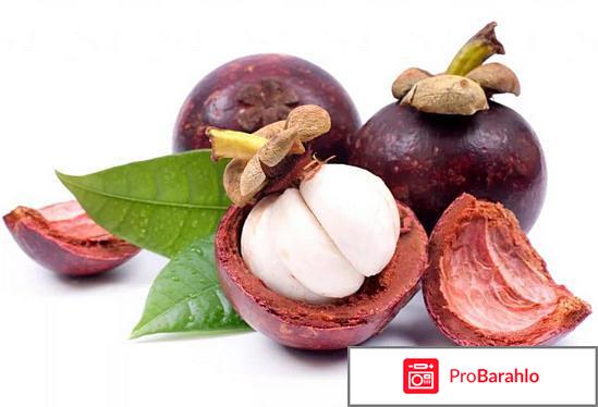 Мангустин для похудения отрицательные отзывы