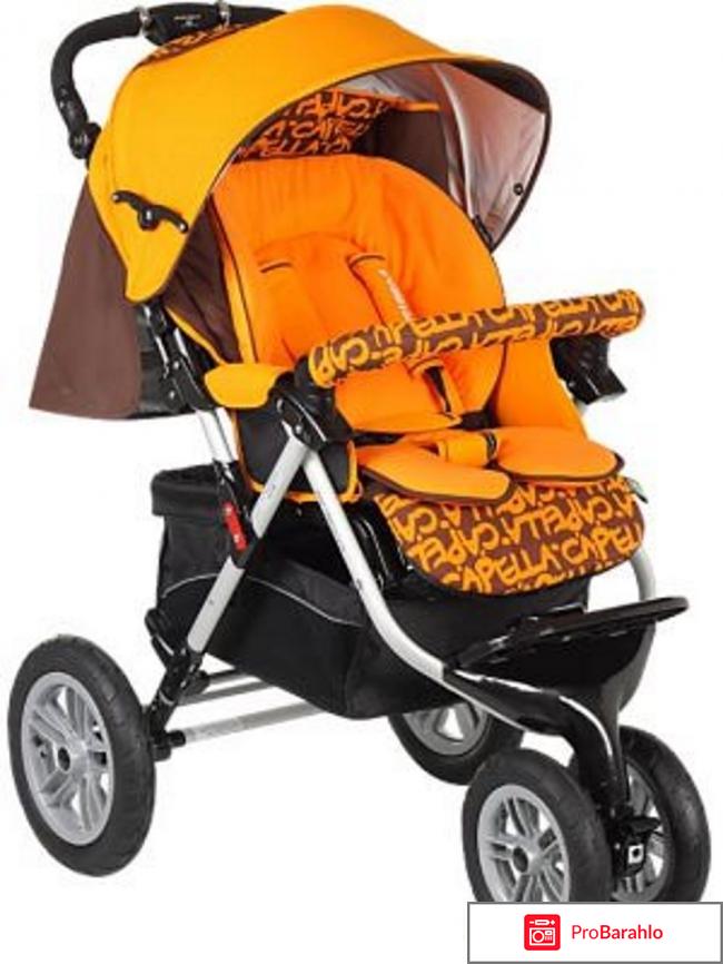 Капелла сибирь обман