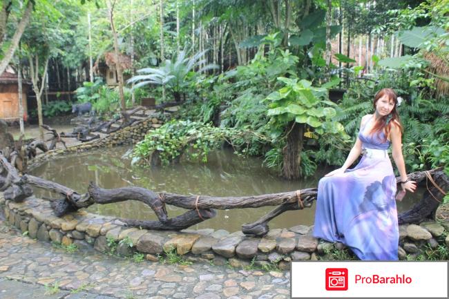 Отдых на хайнань отрицательные отзывы