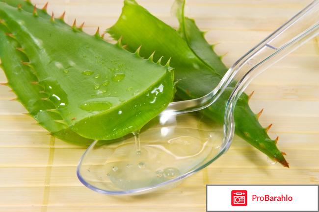 Aloe Epil - крем для депиляции обман