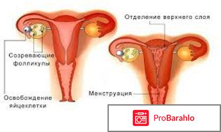 Возможна ли беременность если идут месячные 