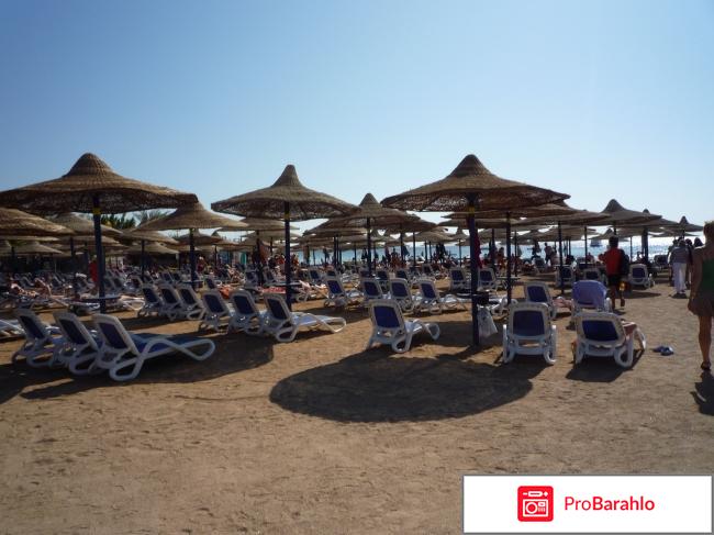 GAFY RESORT реальные отзывы