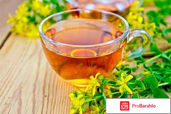 Зверобой обман