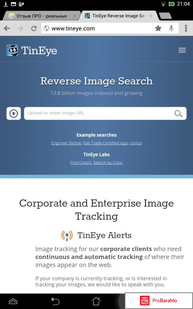 Поисковая система TinEye Reverse Image Search 