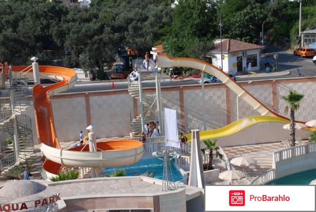 Бечичи фото