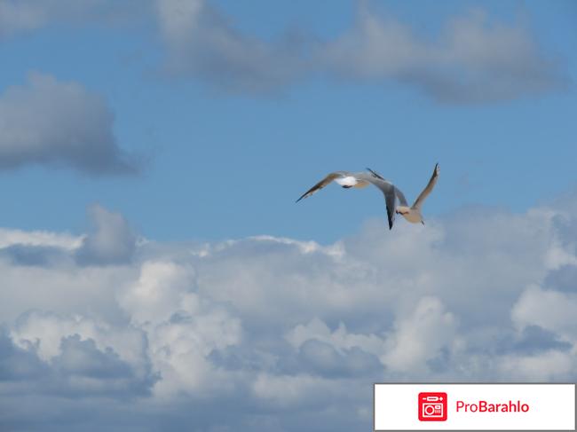 Крым партенит пансионат крым фото