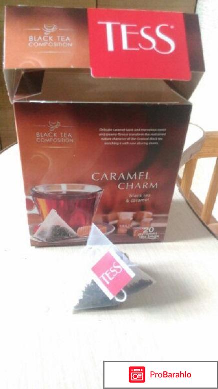 Чай TESS CARAMEL CHARM 