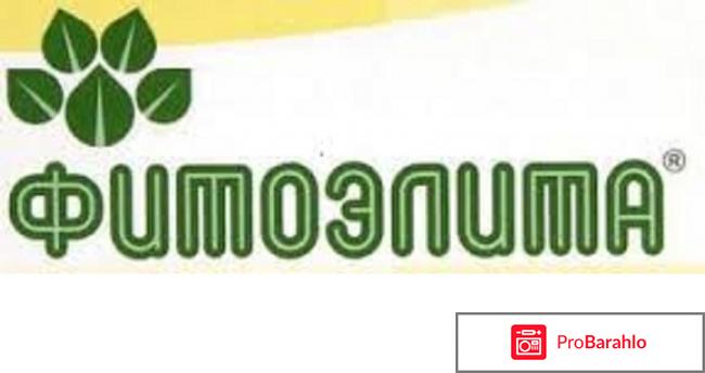 Шампунь от блох для собак обман