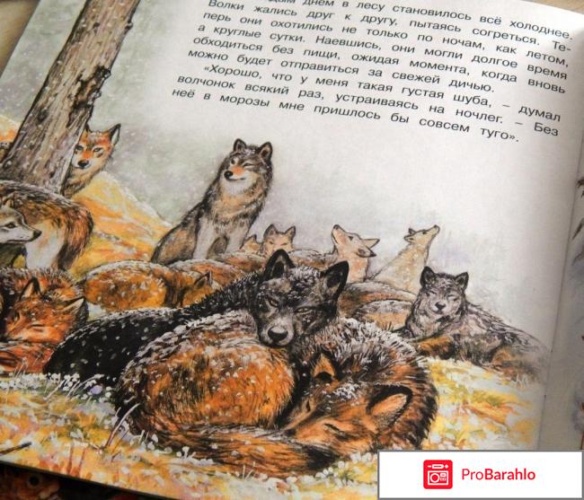Книга  Приключения волчонка реальные отзывы