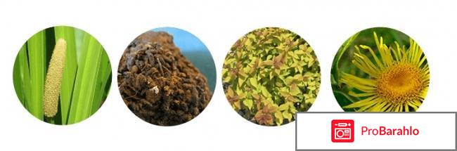 Allegard реальные отзывы