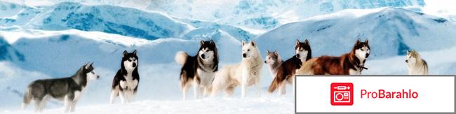 Фильм белый плен отзывы отрицательные отзывы