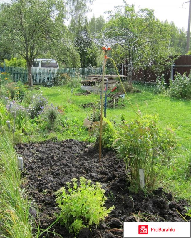 Пятилепестковый разбрызгиватель воды 