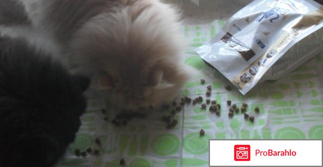 Сухой корм для кошек Royal Canin Gastro  INTESTINAL GI32 отрицательные отзывы