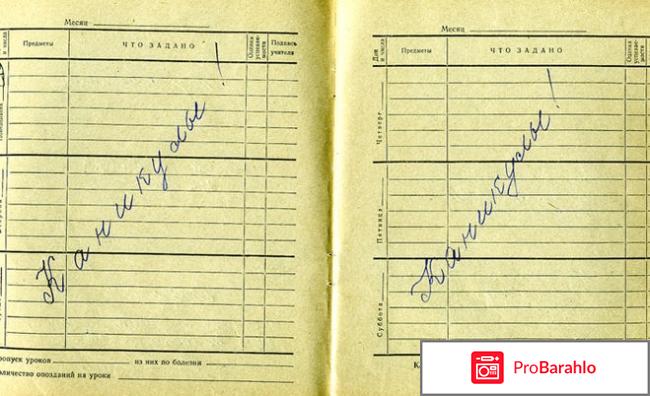 Если в дневнике не хватает страниц, то значит школьник... обман