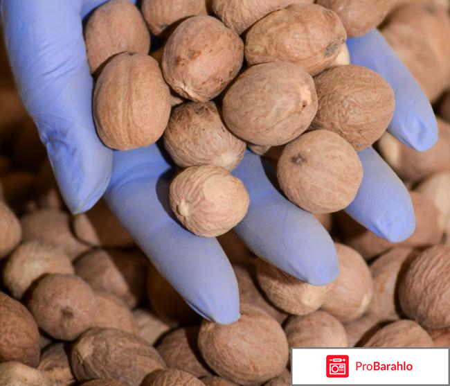 Сашера-мед официальный сайт отзывы врачей 